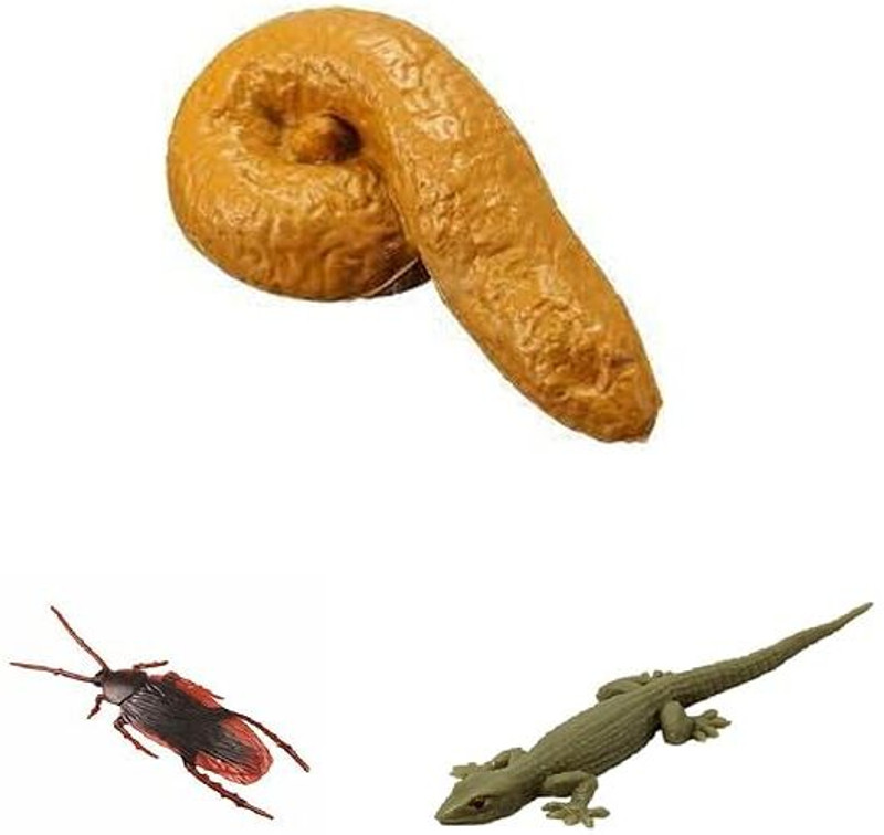 PADMAVATHI ENTERPRISES Fake Poop Potty and Realistic Rubber Lizard & Cockroach Prank Jokes Funny Toys LIZARD, COCKROACH, POOP Gag Toy