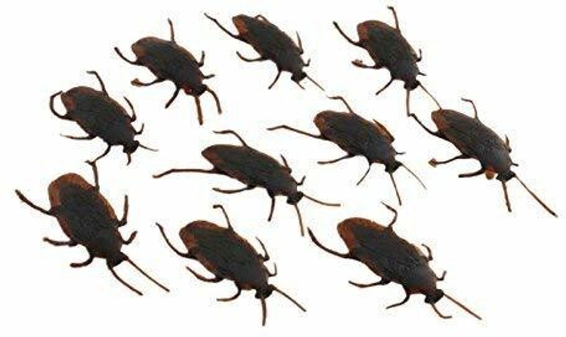 Hetkrishi Set of 10 Fake Plastic Realistic Cockroach Halloween Prank Toy Prank Toys Gag Toy(Brown)