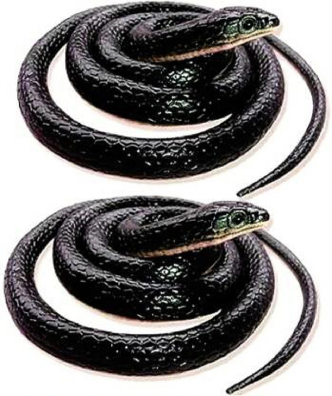 BBS DEAL pack of-1 Realistic Fake Snakes Prank Toy / Gag Toy (Pack of 1)_New snack Gag Toy(Multicolor)