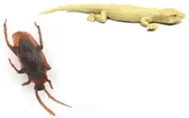 musbu Best Quality 1 Fake Cockroach & 1 Fake Lizard Practical Jokes, Prank Toys Fake Cockroach and Fake Lizard Gag Toy(Brown)