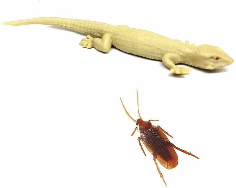 collectivemed Pack of 1 Fake Cockroach and 1 Fake Lizard Practical Jokes, Prank Toys Gag Toy Fake Cockroach and Fake Lizard Gag Toy(Brown)