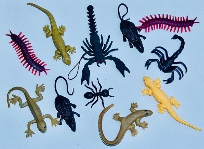 VEDY jungle journey imagination toys scorpion,lizard,rat,ant,kankhajura gang toys Gag Toy(Multicolor)