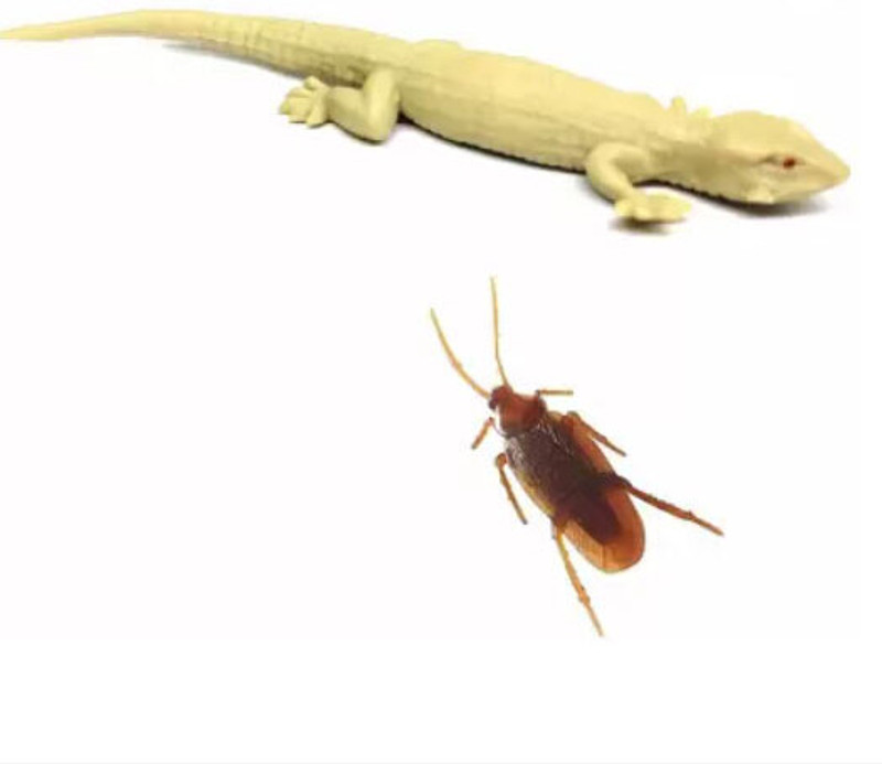 Cyrus (Pack of 2) Rubber Lizard and Fake Realistic Rubber Cockroach Novelty Prank Toys Fake Cockroach and Fake Lizard Gag Toy(Brown)