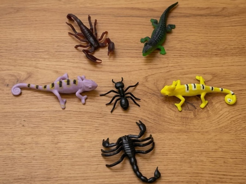 Tik C Mini Wild Animal Insect Toys for Kids Realistic Spider Scorpion Lizard Cockroach gang toys Gag Toy(Multicolor)