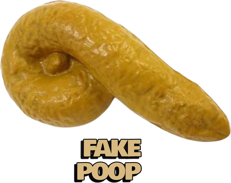 taka saki prank gag toy fake potty fake poop gag toy for kids real look fake potty artificial poop Gag Toy(Brown)