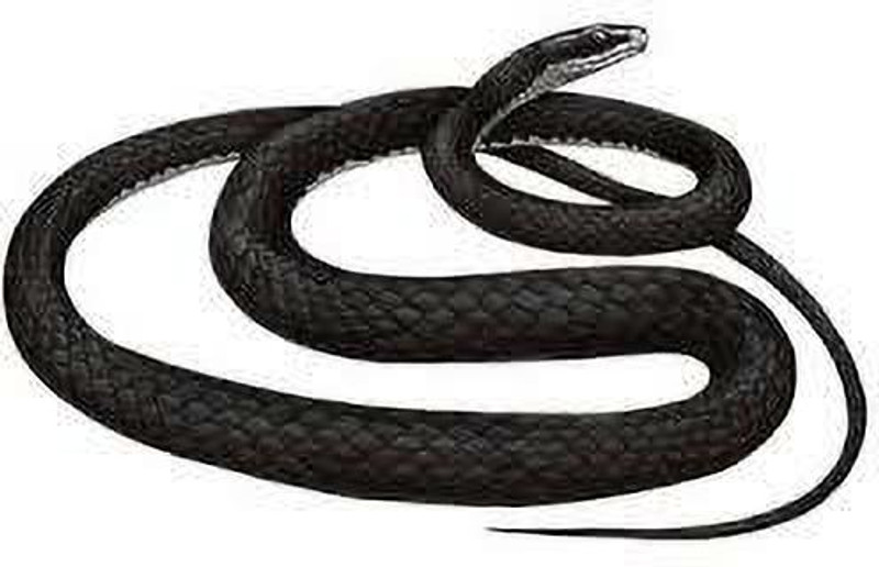 NV COLLECTION Realistic snake toys are a great way to teach children about nature and wildlife Fake Snakes Prank Toy Rubber Realistic Gag Toy