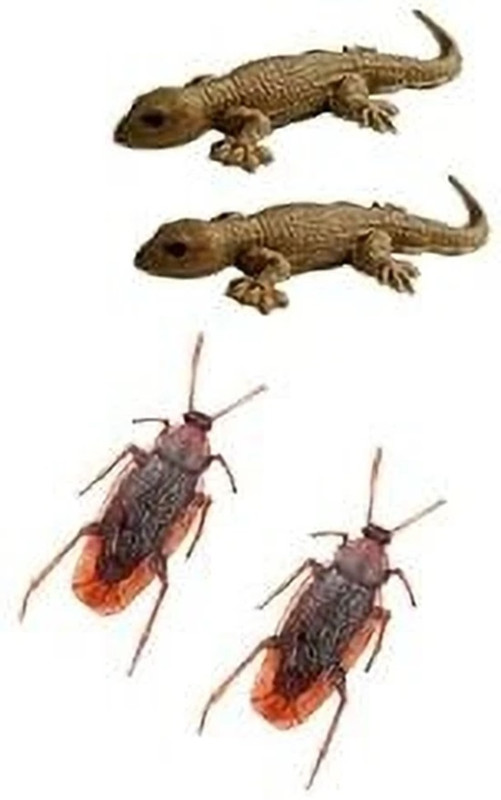 PADMAVATHI ENTERPRISES Fun Prank Toys for Kids and Adults - 2 Lizards and 2 Cockroaches Lizards and Cockroaches Gag Toy(Multicolor)