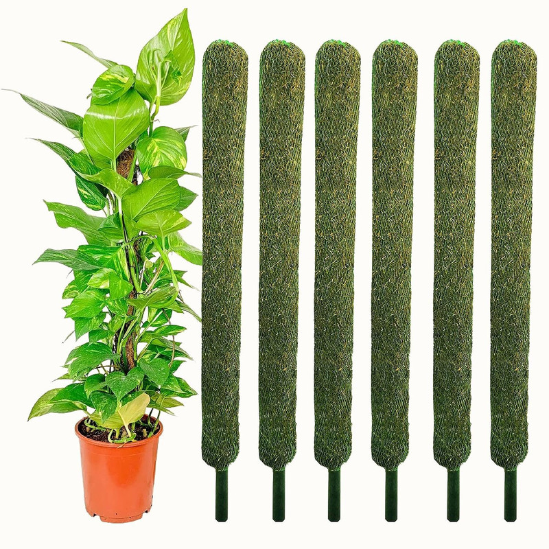 Kabeer enterprises Green Grass Pole for Plants Support Moss Stick 3 Feet(Pack Of 6) Garden Mulch(green 0.1 kg)