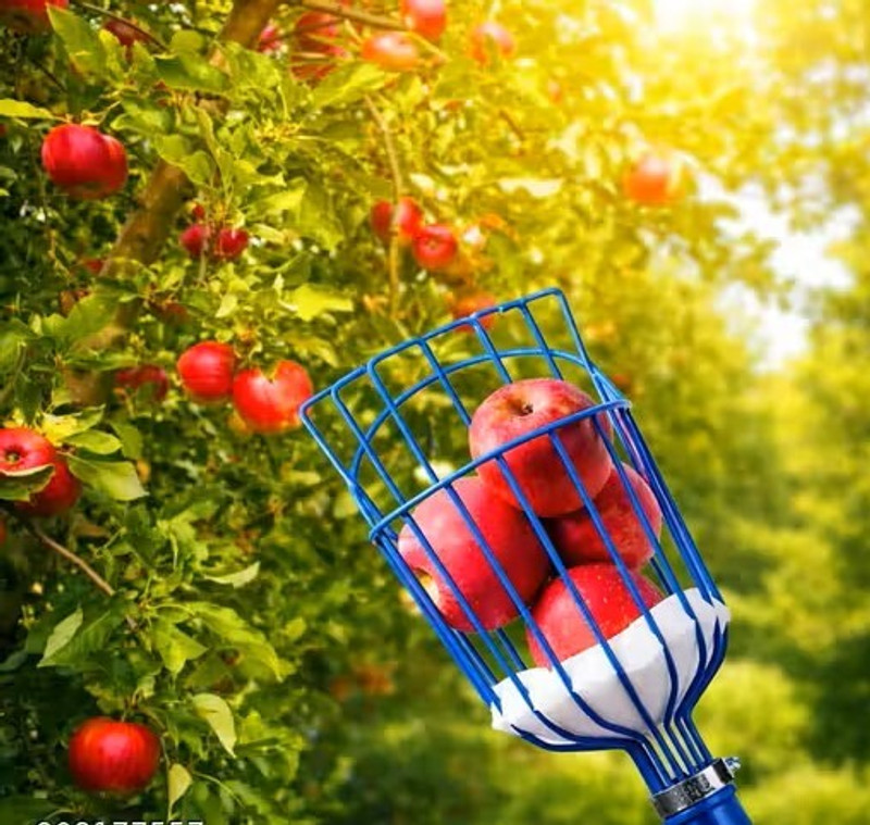 SAS Fruit Picker Head | Fruit and Mango Plucker Basket for Tree Harvesting Garden Tool Kit(1 Tools)