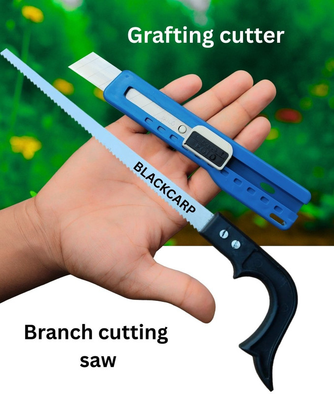 BLACKCARP SAW Garden Tool Kit(2 Tools)