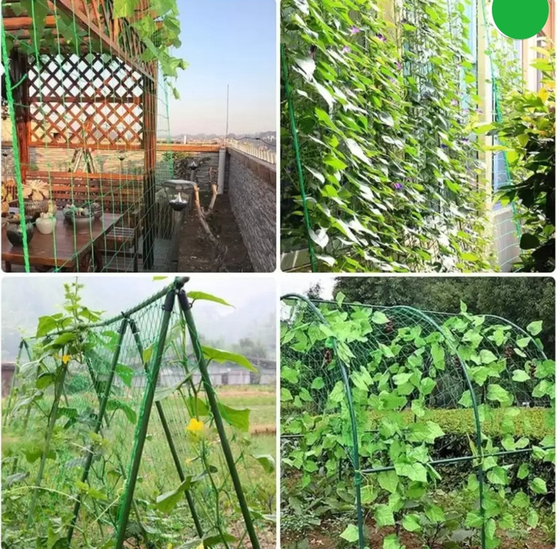 AAYUTRI 15x10 ft Creeper/ Climbing Plant support net 150 sq. Ft Green Garden Tool Kit(1 Tools)