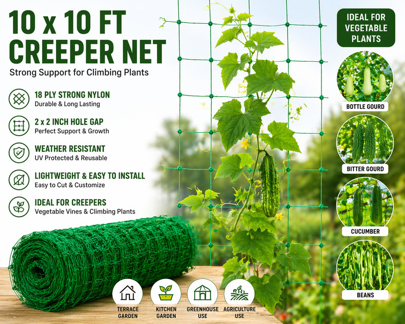 Mehul Enterprises 10x10 ft Green Creeper Net, 18 Ply Nylon, 2x2 Inch Gap for Climbing Plants Garden Tool Kit(1 Tools)