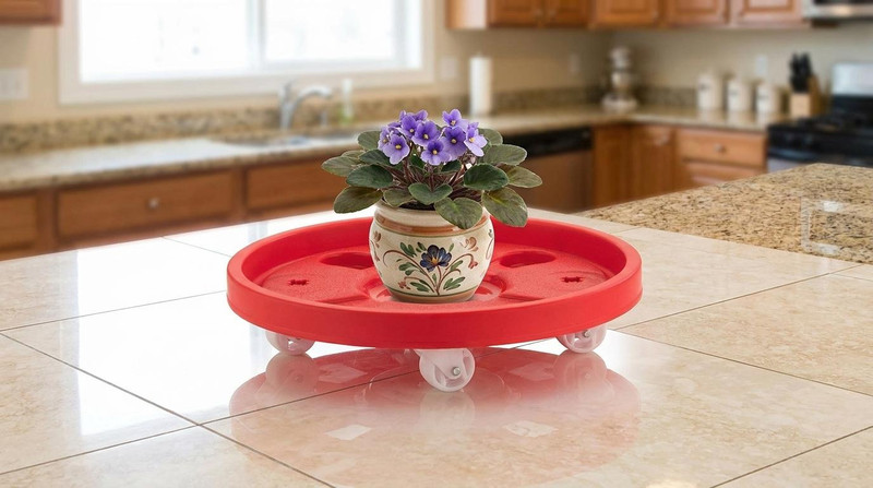 Kitchenify LPG Cylinder Moving Stand with Roller Wheels | Durable Kitchen Trolley Gas Cylinder Trolley(Red, Pack of 1)