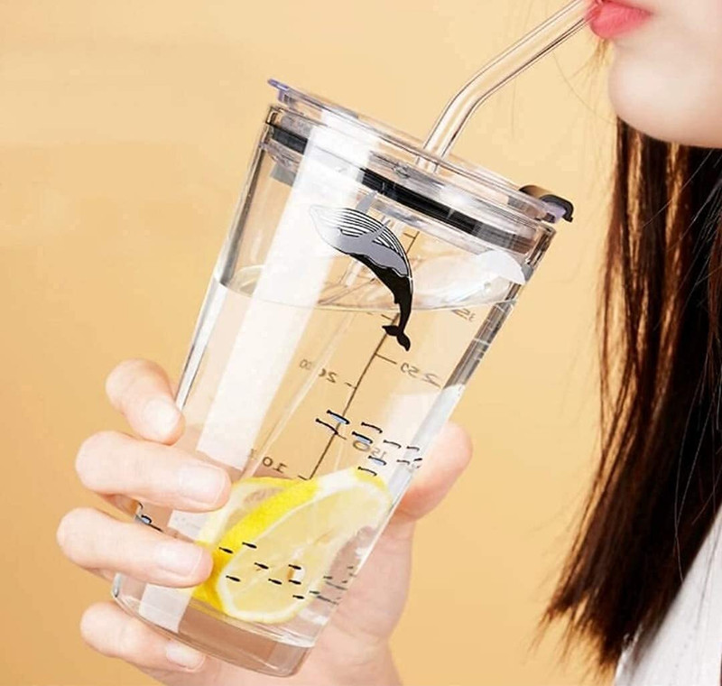 FENILO Mug with Straw and lid Coffee Cup Sipper Glass with Straw Mug with Straw Glass Water/Juice Glass(400 ml, Glass, Clear)