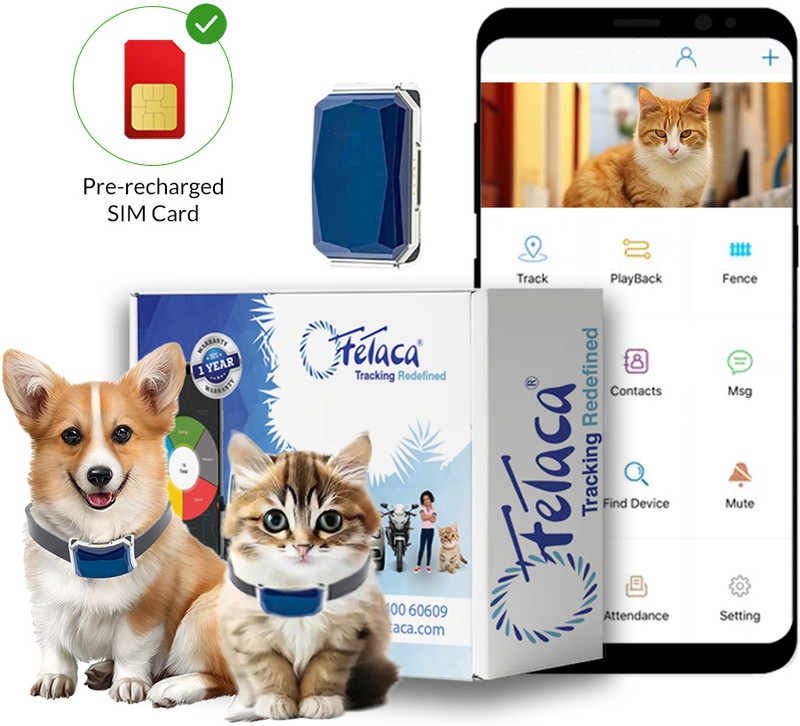 fetaca Smart Collars for Pet Safety: Dogs, Cats, and More Safety Smart Tracker(Blue)