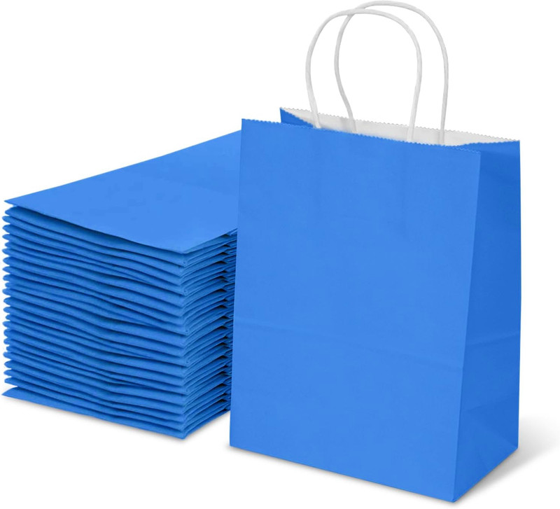 Aakriti Kraft Paper Gift Bags with Handles Perfect for Birthdays, Wedding, Return Gifts(Blue)