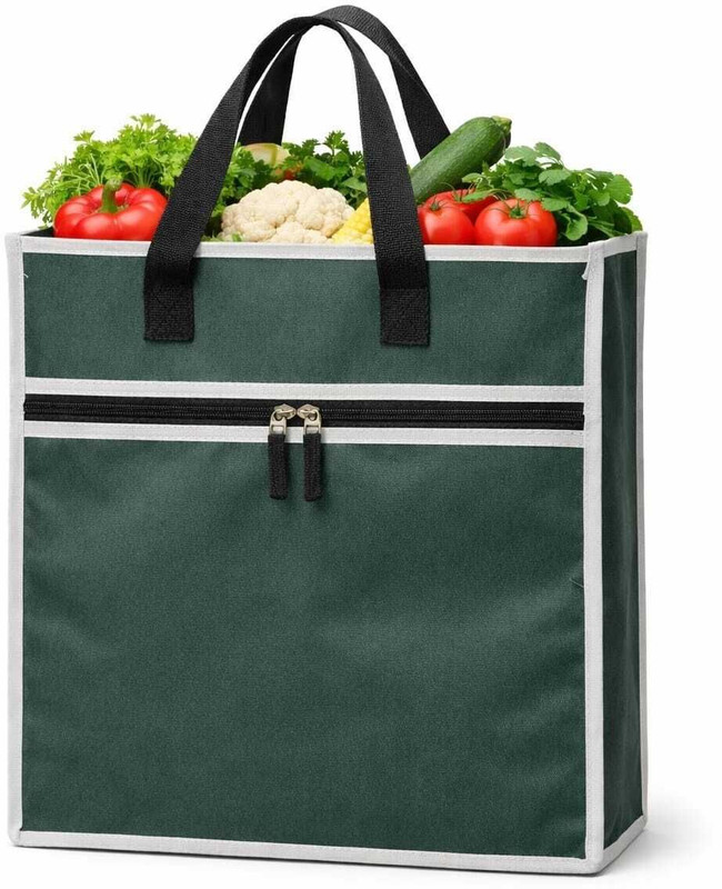 Groceryz GROCERY BAG S Grocery Bag(Green)