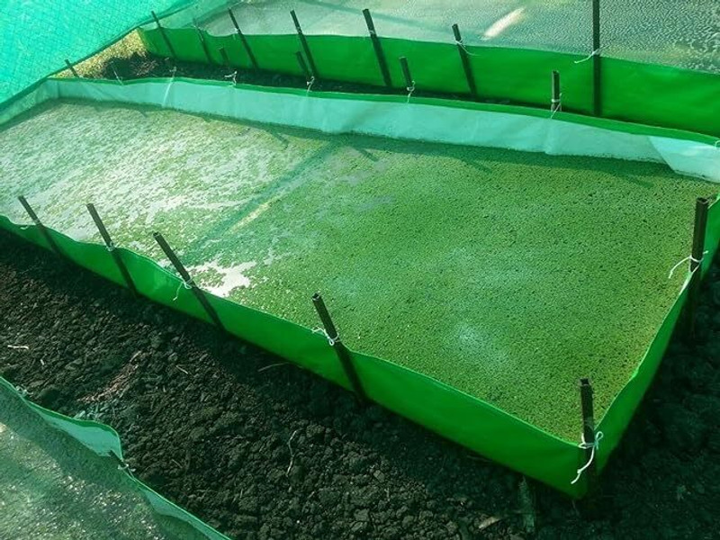 GARDECO HDPE Fabric 450 GSM Azolla Growing Bed/Fish Pond 8ft x 4ft x 1 feet Grow Bag