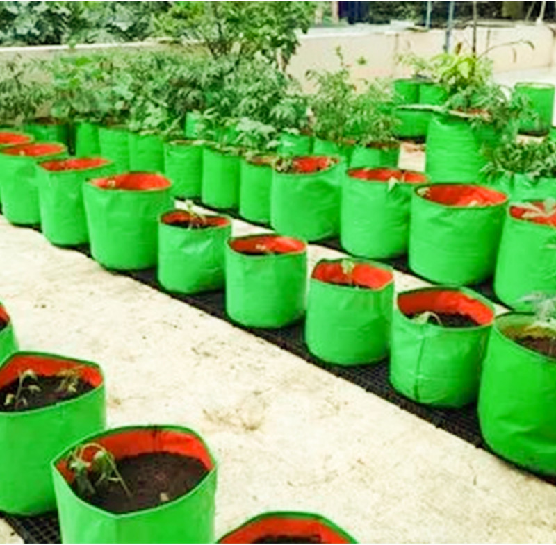 heliland grow bags for gardening, tree plant plastic bag, 5 types of free seeds Grow Bag