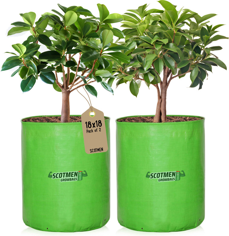 SCOTMEN Terrace gardening FRUIT TREE grow bag 18"x18" Pack of 2 Grow Bag