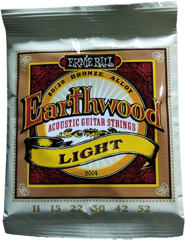 ERNIE BALL Acoustic 2004 80/20 Guitar String(6 Strings)