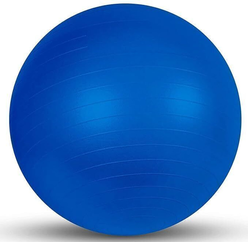 SHHENTERPRISE GYM AND EXERCISE BALL ANTI BURST WITH FOOT PUMP ROUND SHAPE SWISS BALL Gym Ball(With Pump)