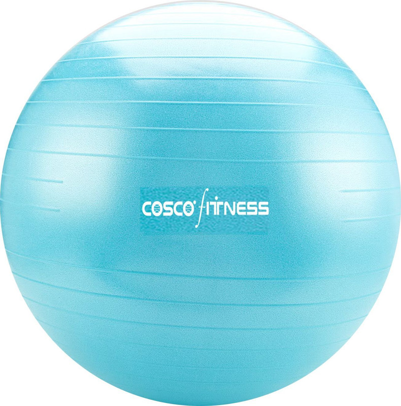 PRISO Shop Yoga Ball 65 cm Professional Swiss l Pilates/Fitness / Balance Gym Ball(With Pump)
