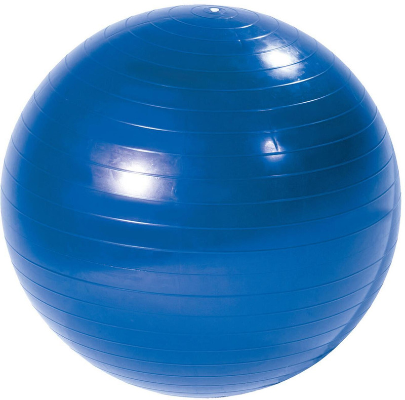 PROMED PVC Exercise Gym Ball Gym Ball(With Pump)
