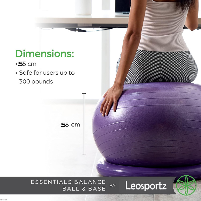 vyzoe Gym ball balance ball with ring1 Gym Ball(With Pump)