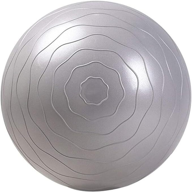NITYA ENTERPRISE gym ball Gym Ball(With Pump)