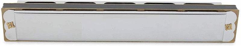 Justakeit Harmonica Mouth Organ 24 Holes 48 reads Key C with Plastic(Blue, Silver)