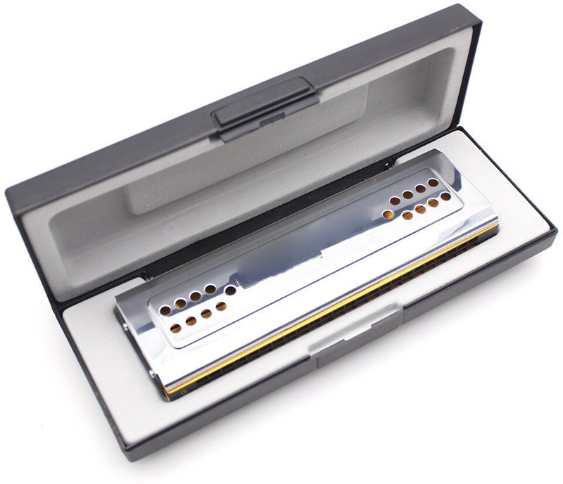 Armonia Swan 2-in-1 Dual-Sided Tremolo Harmonica Mouth Organ Dural Key of C&G 24(Silver)