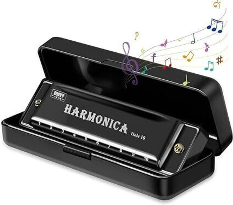 NAKSHT Harmonica Mouth Organ Musical(BLACK)