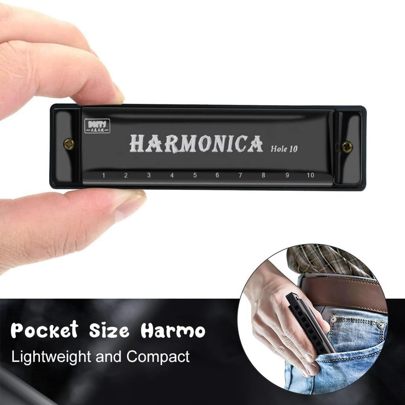 PDK 10 Holes Diatonic Harmonica Professionals and Beginners(Black)