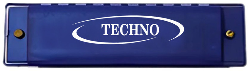 TECHNO 10-Hole Blues Harmonica in C Key Diatonic Mouth Organ(BLUE)