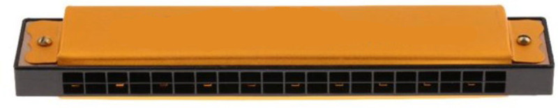 BestBrother BB11 Mouth Organ 24 Notes Harmonica, Key of C Major for Beginner, Adults, Kids((MULTICOLOR)