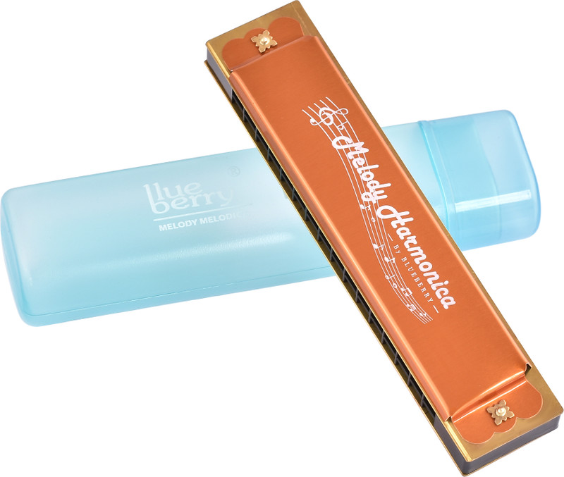 BLUEBERRY R-1601 Harmonica for Beginners, Harmonica for kids,16 Holes 32 Tunes Mouth Organ(GOLD)