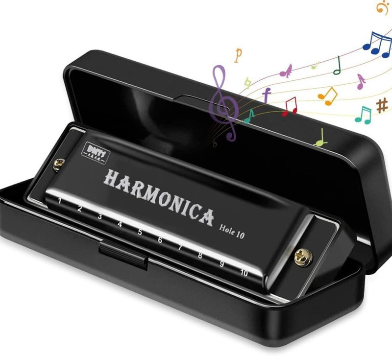 KVVTRADES Mouth Organ Harmonica Musical Instrument(BALCK)