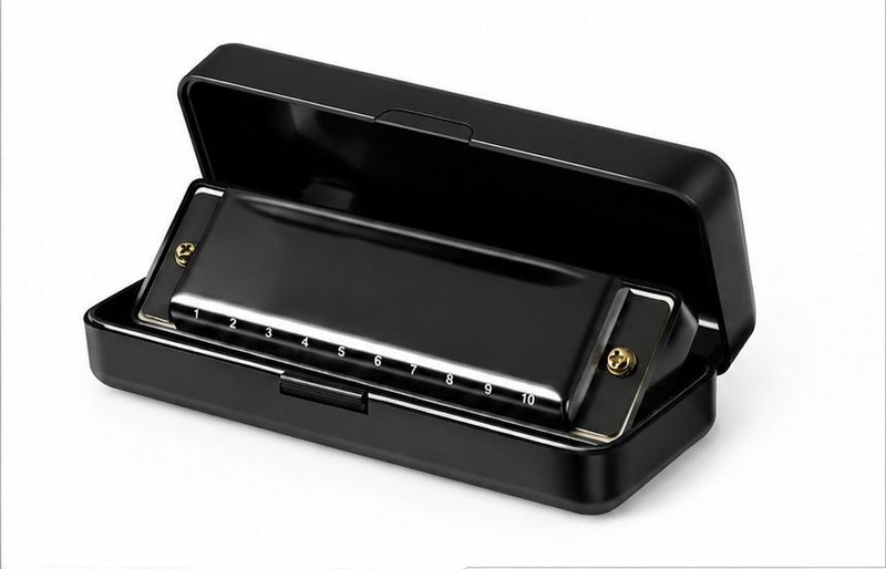 VPJ Harmonica 10 Holes in C Key – Beginner to Advanced Blues Harp with Storage Case(BLACK)