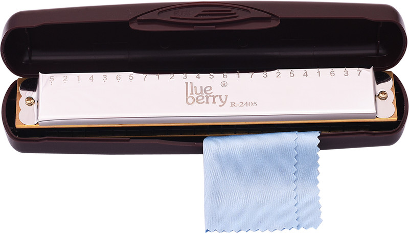 BLUEBERRY R-1007 Diatonic Blues 10 Holes Harmonica Blues Mouth Organ Key of C with Cover(Silver)