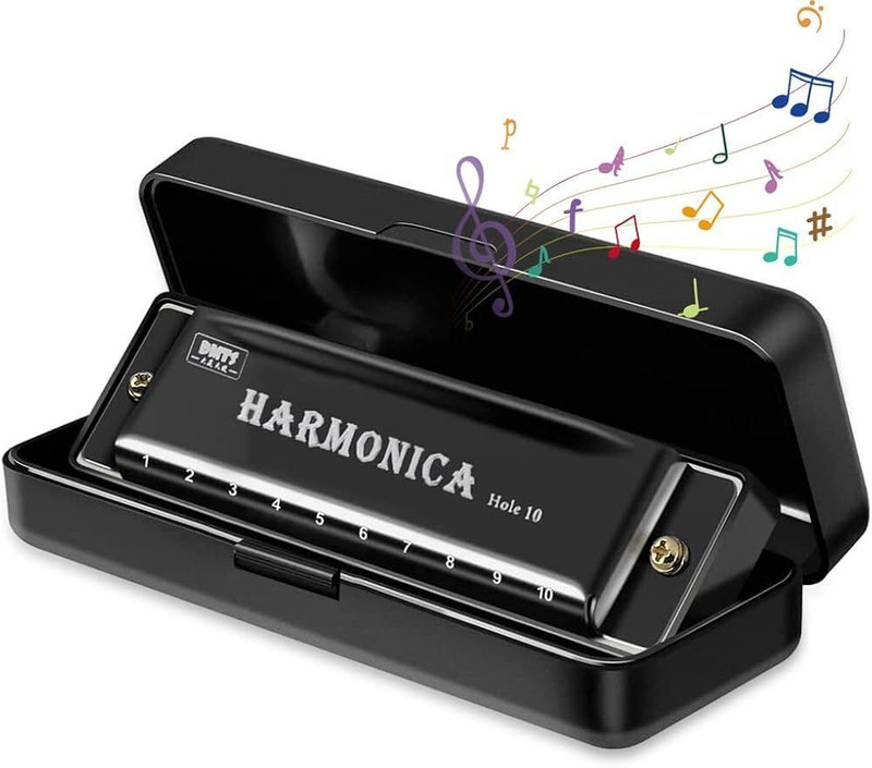 Parekh Bros Harmonica Mouth Organ for Kids(Black)