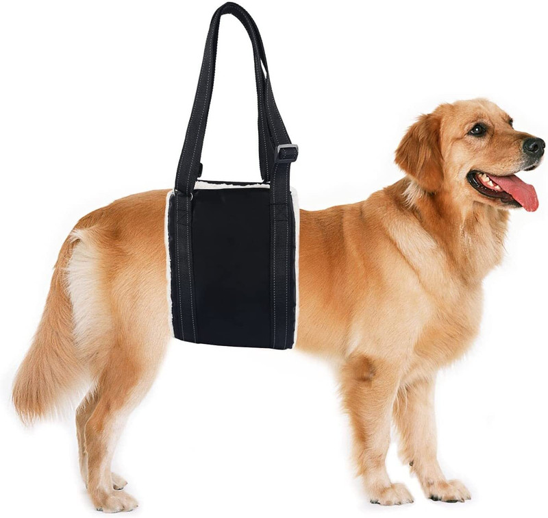 Lifestyle Helpmate Lifestyle Dog Hip Support Harness to Help Lift Rear for Canine Aid Old K9 C Safety Harness(L)