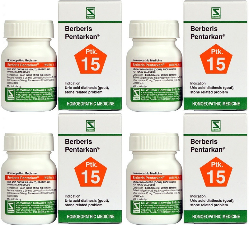 Dr.Willmar Schwabe India Berberis Pentarkan , Tablets(4 x 20 Units)