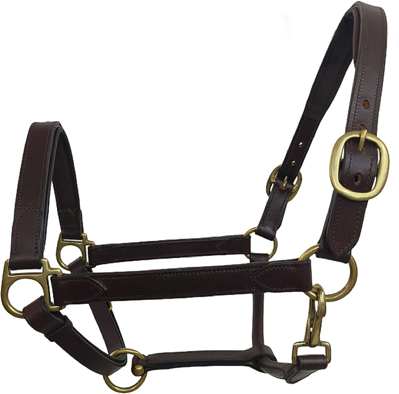 KTE Halter Horse Bridle(For Horse Brown)