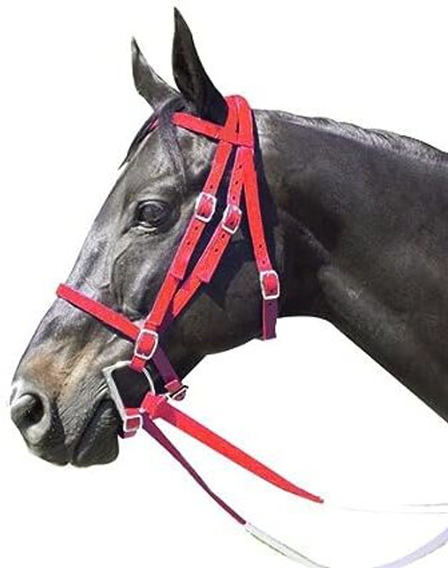 BLESSING PET PRODUCT Harness Horse Bridle(For Horse red)