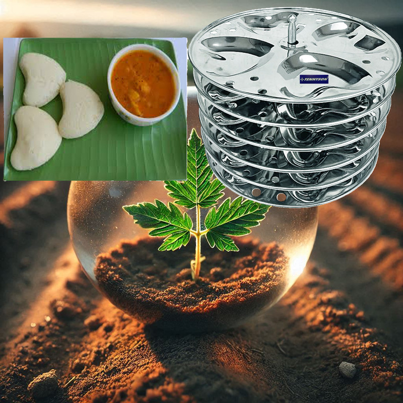 TENNYSON HEARTS PLATE 2 Induction & Standard Idli Maker(2 Plates , 8 Idlis )