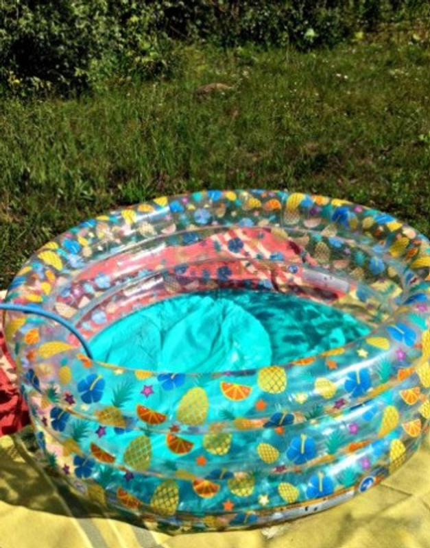 Intelligent Sea Life 3 Ring Transoapernt Pool Kids Inflatable Tub Swimming Pool Inflatable Swimming Pool(Multicolor)