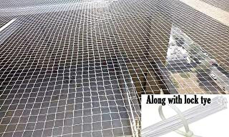 ESSOTI Bird Net(10 X25 ft)25mm Hole White in Color Corner Ropes Installation Kit Along Insect Net
