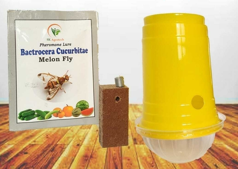S K Agrotech Bactrocera Cucurbitae - melon fruit fly pheromone trap & lure(10 x 1 Units)