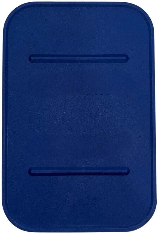 EAST STORNG IRON MAT ES 300L 0 W Steam Iron(Blue)